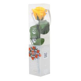   Örök Rózsa szál / Forever Rose PVC díszdobozban 30 cm - Citromsárga