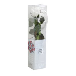   Örök Rózsa szál / Forever Rose PVC díszdobozban 30 cm - Fehér