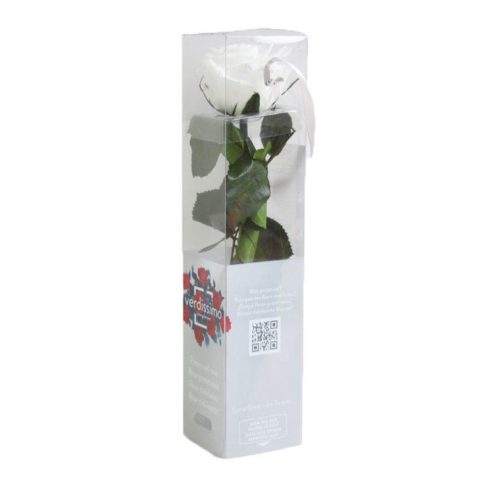 Örök Rózsa szál / Forever Rose PVC díszdobozban 30 cm - Fehér