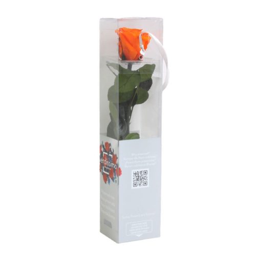 Örök Rózsa szál / Forever Rose PVC díszdobozban 30 cm - Narancs