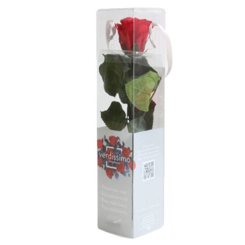 Örök Rózsa szál / Forever Rose PVC díszdobozban 30 cm - Piros