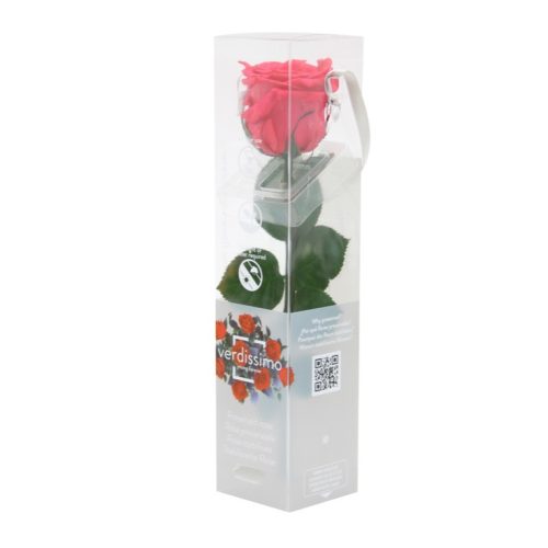 Örök Rózsa szál / Forever Rose PVC díszdobozban 30 cm - Sötét Pink