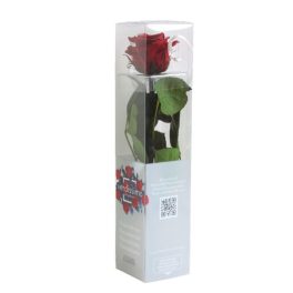   Örök Rózsa szál / Forever Rose PVC díszdobozban 30 cm - Vörös