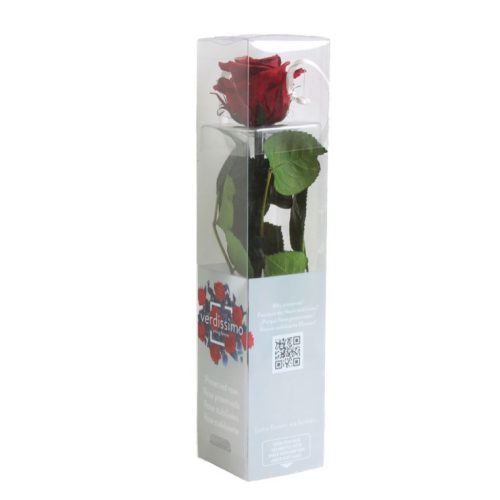 Örök Rózsa szál / Forever Rose PVC díszdobozban 30 cm - Vörös