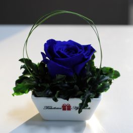   XL Örök rózsa / Forever Rose Kerámia tálban - Sötétkék