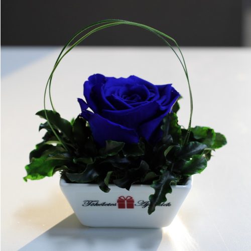XL Örök rózsa / Forever Rose Kerámia tálban - Sötétkék