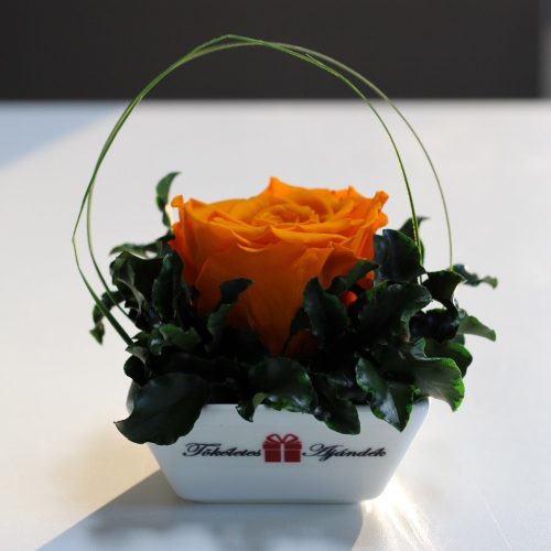 XL Örök rózsa / Forever Rose Kerámia tálban - Narancs