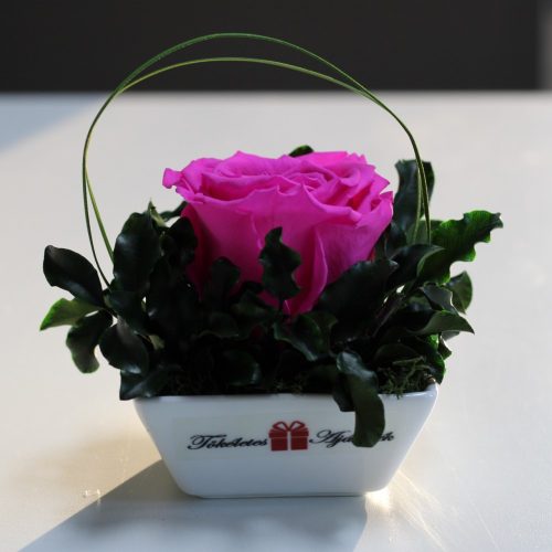 XL Örök rózsa / Forever Rose Kerámia tálban - Pink