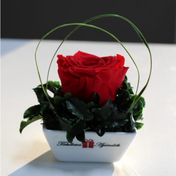 XL Örök rózsa / Forever Rose Kerámia tálban - Piros