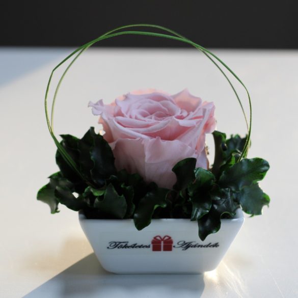 XL Örök rózsa / Forever Rose Kerámia tálban - Rózsaszín