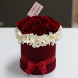   11 szálas Örök rózsa Bársony Box kompozíció / Forever Rose  - Vörös