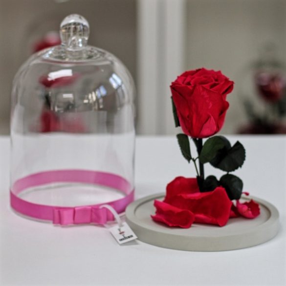 Standard búrába zárt Örök rózsa / Forever Rose - Dark pink