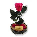 Nagy méretű búrába zárt XL Örök Rózsa / Forever Rose - Dark Pink