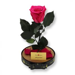   Nagy méretű búrába zárt XL Örök Rózsa / Forever Rose - Dark Pink