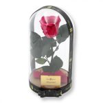 Nagy méretű búrába zárt XL Örök Rózsa / Forever Rose - Dark Pink