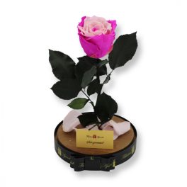   Nagy méretű búrába zárt XL Örök Rózsa / Forever Rose - Bicolor Pink / Rózsaszín