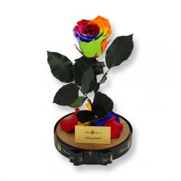   Nagy méretű búrába zárt XL Örök Rózsa / Forever Rose - Rainbow