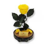Nagy méretű búrába zárt XL Örök Rózsa / Forever Rose - Citrom