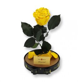   Nagy méretű búrába zárt XL Örök Rózsa / Forever Rose - Citrom Festiva