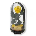 Nagy méretű búrába zárt XL Örök Rózsa / Forever Rose - Citrom Festiva