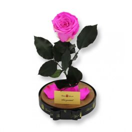   Nagy méretű búrába zárt XL Örök Rózsa / Forever Rose - Bicolor Pink