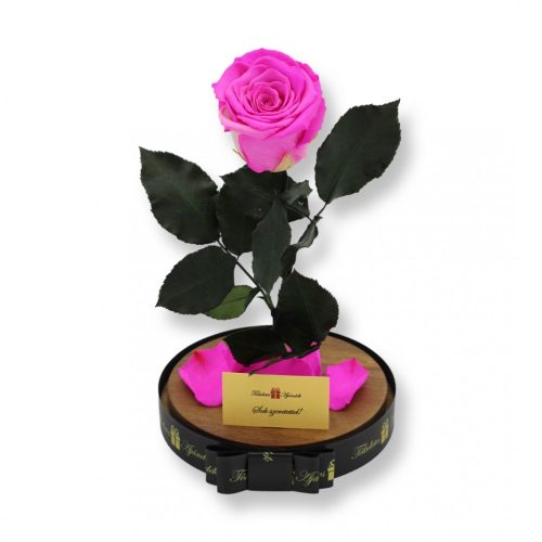 Nagy méretű búrába zárt XL Örök Rózsa / Forever Rose - Bicolor Pink