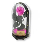 Nagy méretű búrába zárt XL Örök Rózsa / Forever Rose - Bicolor Pink