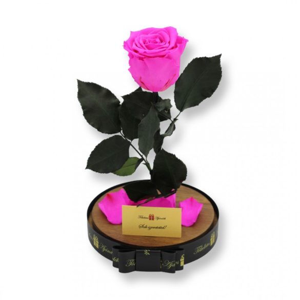 Nagy méretű búrába zárt XL Örök Rózsa / Forever Rose - Pink