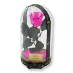 Nagy méretű búrába zárt XL Örök Rózsa / Forever Rose - Pink