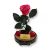 Nagy méretű búrába zárt XL Örök Rózsa / Forever Rose - Dark Pink Festiva