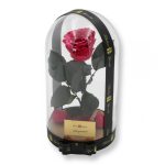 Nagy méretű búrába zárt XL Örök Rózsa / Forever Rose - Dark Pink Festiva
