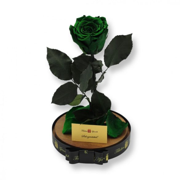 Nagy méretű búrába zárt XL Örök Rózsa / Forever Rose - Smaragd Zöld