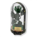 Nagy méretű búrába zárt XL Örök Rózsa / Forever Rose - Smaragd Zöld