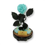 Nagy méretű búrába zárt XL Örök Rózsa / Forever Rose - Menta Zöld