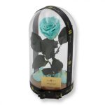 Nagy méretű búrába zárt XL Örök Rózsa / Forever Rose - Menta Zöld