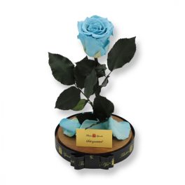   Nagy méretű búrába zárt XL Örök Rózsa / Forever Rose - Világoskék