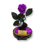 Nagy méretű búrába zárt XL Örök Rózsa / Forever Rose - Lila