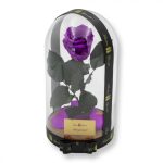 Nagy méretű búrába zárt XL Örök Rózsa / Forever Rose - Lila