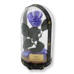 Nagy méretű búrába zárt XL Örök Rózsa / Forever Rose - Violet Lila