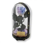 Nagy méretű búrába zárt XL Örök Rózsa / Forever Rose - Bicolor Halványlila / Violet lila