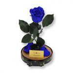 Nagy méretű búrába zárt XL Örök Rózsa / Forever Rose - Kék