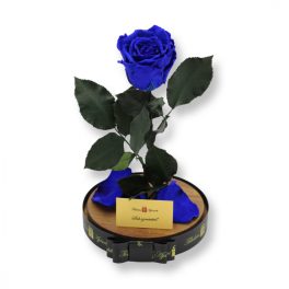   Nagy méretű búrába zárt XL Örök Rózsa / Forever Rose - Kék