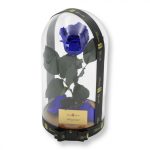 Nagy méretű búrába zárt XL Örök Rózsa / Forever Rose - Kék