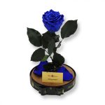 Nagy méretű búrába zárt XL Örök Rózsa / Forever Rose - Kék Galaxy