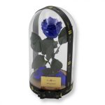 Nagy méretű búrába zárt XL Örök Rózsa / Forever Rose - Kék Galaxy