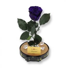   Nagy méretű búrába zárt XL Örök Rózsa / Forever Rose - Sötétlila