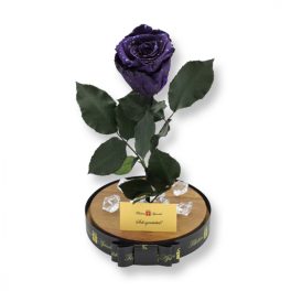   Nagy méretű búrába zárt XL Örök Rózsa / Forever Rose - Sötétlila Galaxy