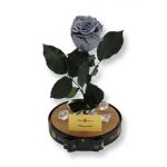 Nagy méretű búrába zárt XL Örök Rózsa / Forever Rose - Szürke / Grey