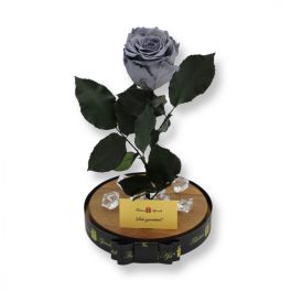   Nagy méretű búrába zárt XL Örök Rózsa / Forever Rose - Szürke / Grey