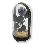 Nagy méretű búrába zárt XL Örök Rózsa / Forever Rose - Szürke / Grey
